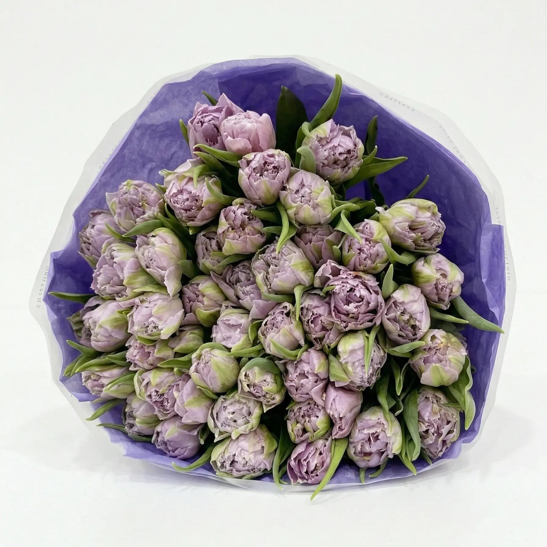 Premium Dutch Tulips - 10 stems - ECOROSES - Bouquets & Florals