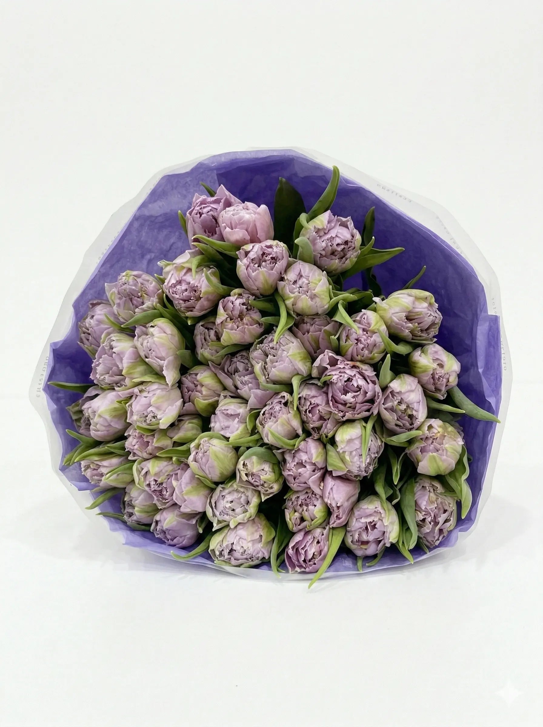 Premium Dutch Tulips - 10 stems - ECOROSES - Bouquets & Florals