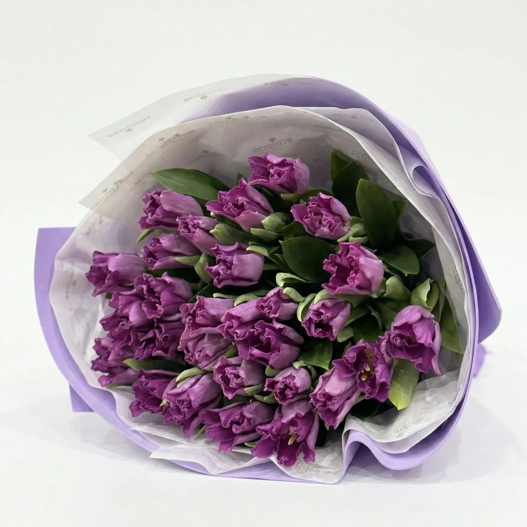 Premium Dutch Tulips - 10 stems - ECOROSES - Bouquets & Florals