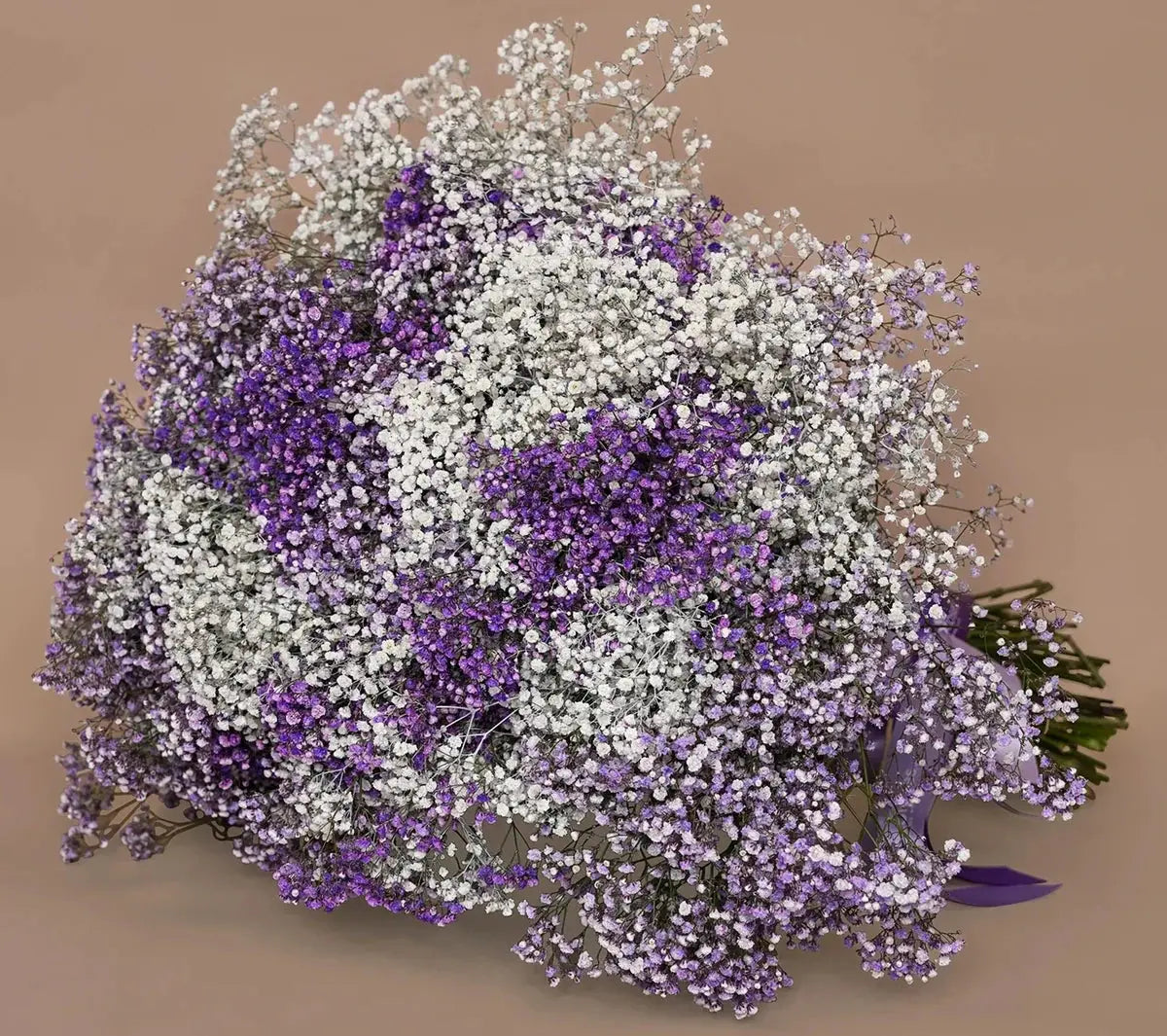 The Rise of Dried Flowers in Interior Design ECOROSES - Bouquets & Florals