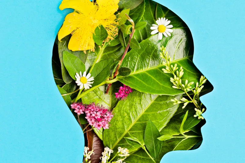 Therapeutic Benefits of Flowers: More Than Just Aesthetics