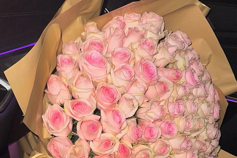 The Sassy Life of Los Angeles Roses: From Dirt to Divas