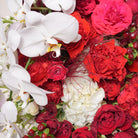 Cremisi luxury bouquet — detail of deep crimson roses against white hydrangea and stock with burgundy eucalyptus | Ecoroses Los Angeles