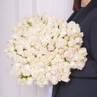Nuria bouquet — four bunches of blush white baby roses, hand-tied | Ecoroses Los Angeles